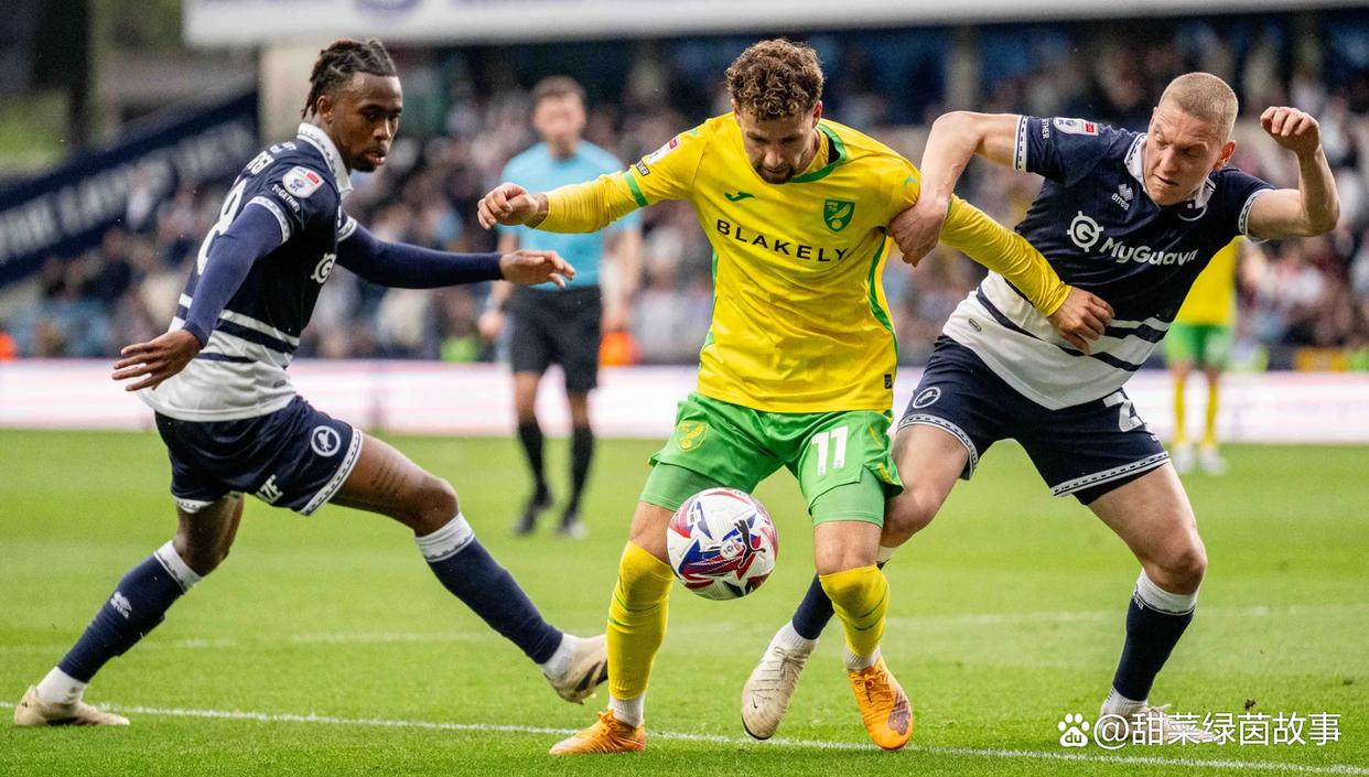 热门娱乐游戏-卡迪夫城球员进攻如火，逆转对手取得胜利