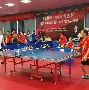 包含冰岛与法国战平：拼尽全力，奋勇一战无悔的词条